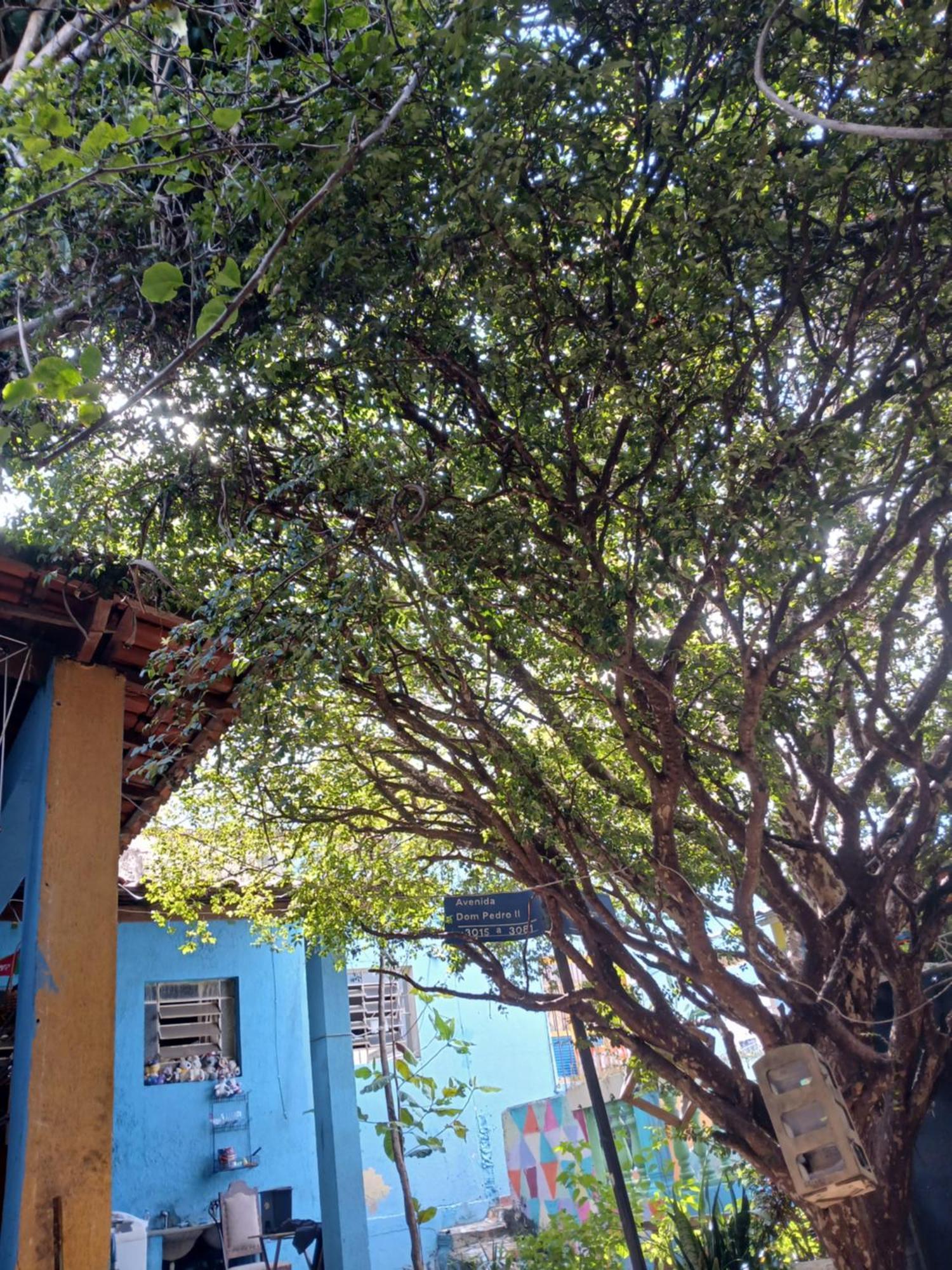 Hostel Jabuticaba Belo Horizonte Exterior photo